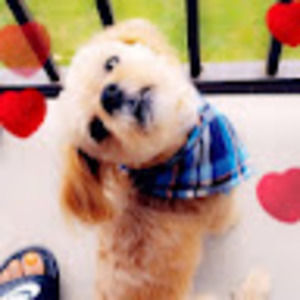 Meet your Posher, Latashay